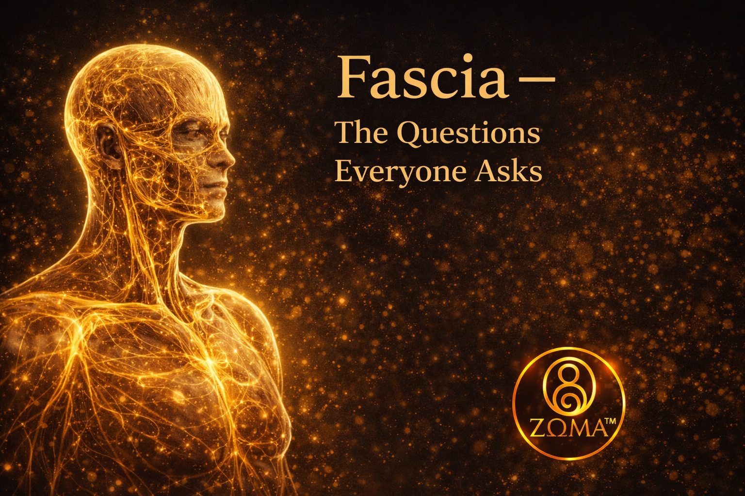 Fascia: The Most Common Questions People Ask (Clear Answers That Actually Make Sense)