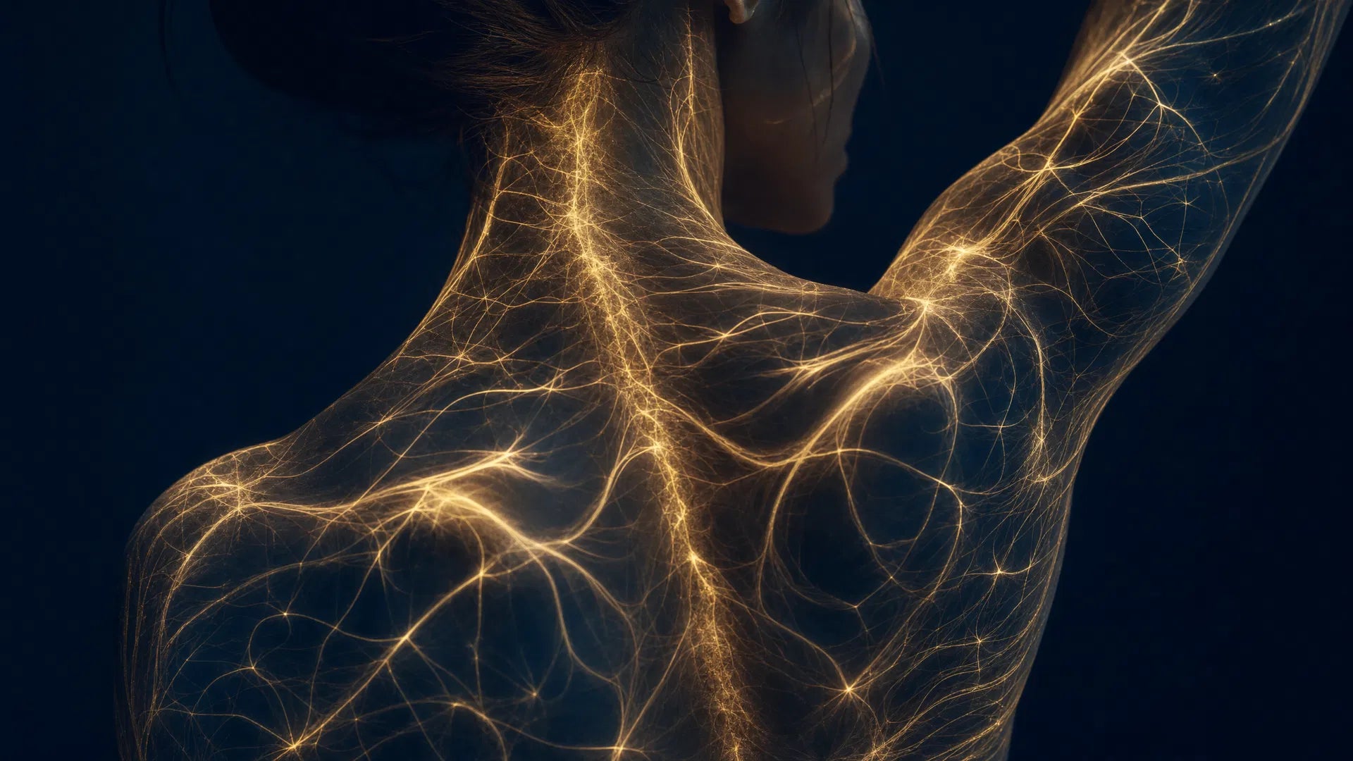 What is Fascia The Living Web Beneath Your Skin
